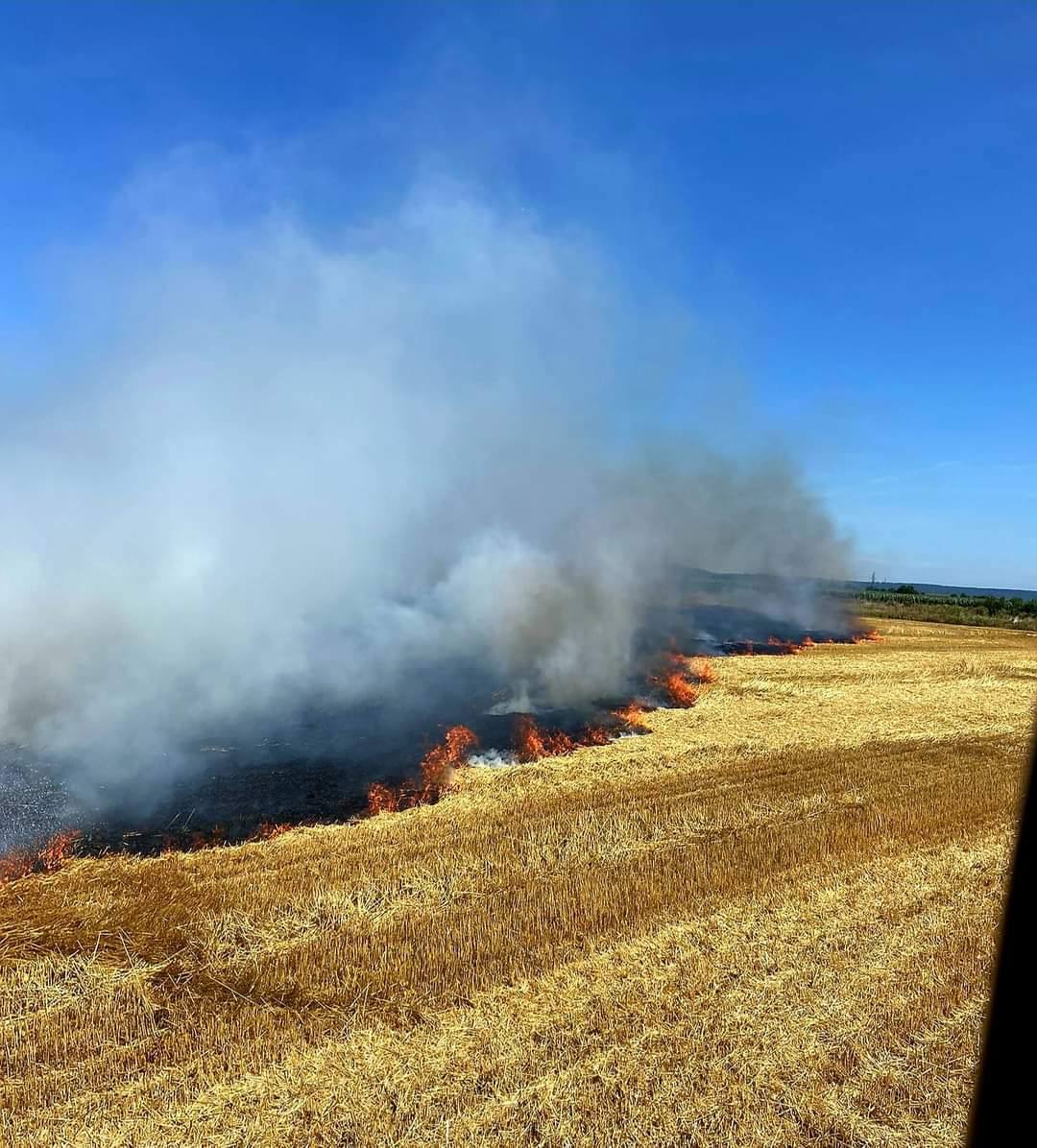 You are currently viewing Peste 10 ha de vegetație uscată au ars în județul Giurgiu