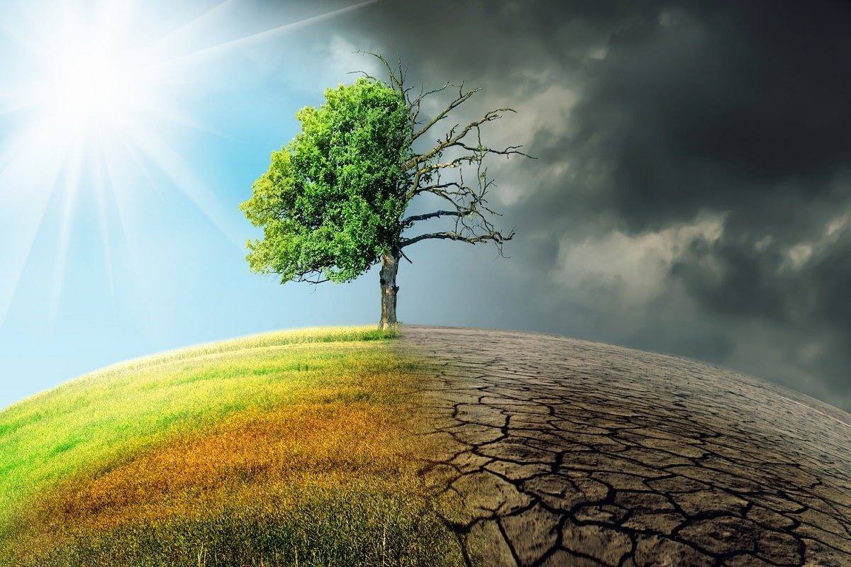 You are currently viewing Potrivit Centrului Climatologic Regional valul de căldură vine și spre România: „Va avea loc instalarea unei perioade de secetă”