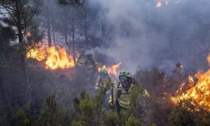 Read more about the article UE cumpără avioane de stingere a incendiilor