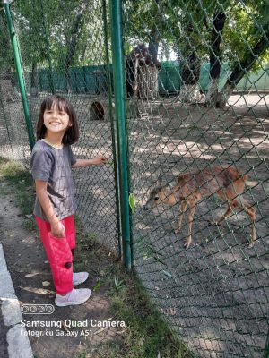 Read more about the article Grădina Zoologică Târgoviște, refugiu din calea caniculei, pentru persoanele cu dizabilități din cadrul DGASPC