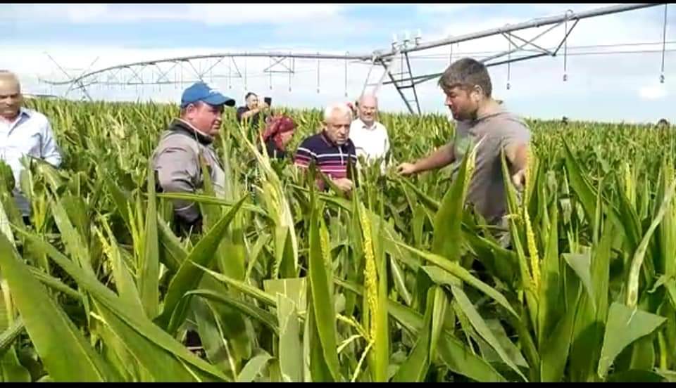 You are currently viewing Petre Daea,  în vizită la o fermă zootehnică din județul Iași: Mâncarea se face greu, cu pasiune, dragoste și multă muncă!