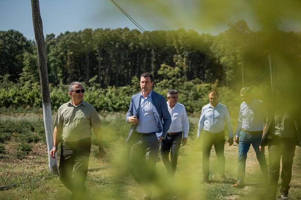 You are currently viewing 56 000 de hectare vor fi împădurite prin PNRR până în 2026