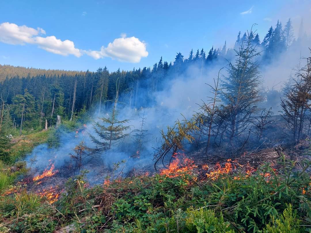 You are currently viewing Un nou incendiu izbucnit în ultimele trei zile pe suprafața Parcul Natural Apuseni
