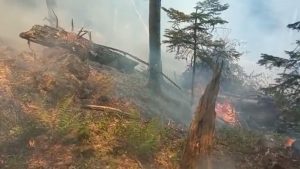 Read more about the article Pompierii militari intervin în forță pentru stingerea incendiului de pădure din Munții Maramureșului
