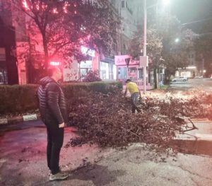 Read more about the article Furtuna puternică de azi noapte a creat probleme, în municipiul Târgoviște