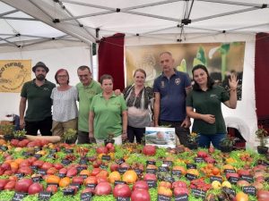 Read more about the article Pentru prima data, Romania este expozant la Festivalul Tomatelor de la Bruxelles