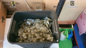 Read more about the article O rețea de traficanți de droguri de mare risc, coordonată din închisoare, a fost anihilată de DIICOT, la Constanţa