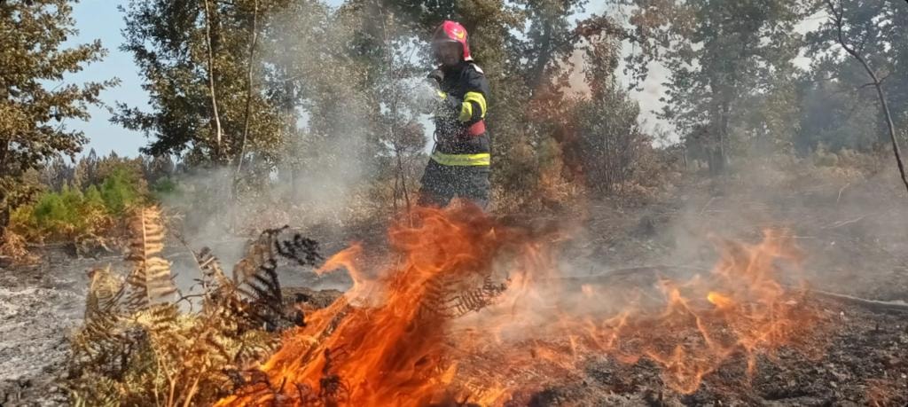 You are currently viewing Flăcări și fum în comuna Bălteni și în cartierul Romlux – Târgoviște! Pompierii au intervenit!
