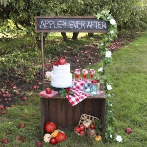 Read more about the article În încercarea de a atrage clienții, niște fermieri de pe Valea Dâmboviței îi invită în livadă, la cules