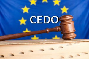 Read more about the article CEDO – România trebuie să despăgubească proprietarii care nu şi-au putut exploata pădurile declarate zone naturale protejate