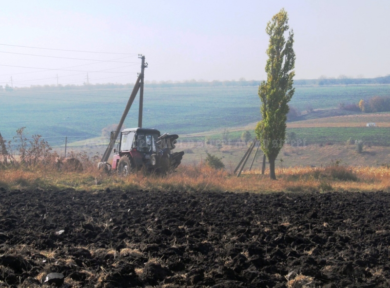 You are currently viewing Bani de la Guvern pentru protejarea terenurilor agricole