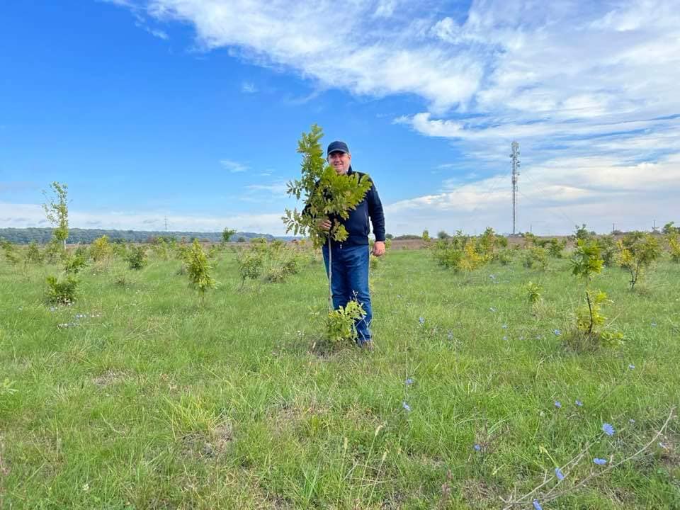 You are currently viewing O nouă acțiune de plantare în Pădurea Parașutiștilor, din Răcari, va avea loc pe 25 octombrie