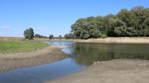 Read more about the article Avertizare hidrologică: Cod galben de inundații pe râuri din Arad, Bihor si Hunedoara