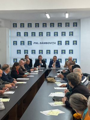 Read more about the article PNL DÂMBOVIȚA: Alegeri pentru conducerea Organizației Femeilor Liberale și Organizației Seniorilor Liberali