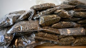 Read more about the article Poliția din Spania a capturat 32 de tone de canabis, cea mai mare captură la nivel internațional