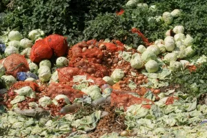Read more about the article Lider PNL local, despre nevoia sprijinirii agricultorilor români: Uitați-vă ce se întâmplă la Lungulețu, varza a ajuns de râs, cartofii la fel