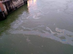 Read more about the article Poluare pe Dunăre pe o lungime de 6 km, până la ecluza Porțile de Fier