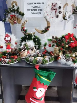 Read more about the article Expoziție cu vânzare a ornamentelor realizate de tinerii de la Complexul „Floare de Colț”, la sediul DGASPC Dâmbovița