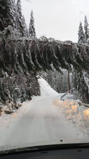 Read more about the article VIDEO: se circulă în condiții de iarnă, în zona montană dâmbovițeană
