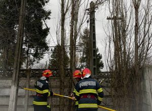 Read more about the article Pompieri ai Detașamentului Găești, în teren, pentru rezolvarea urgențelor