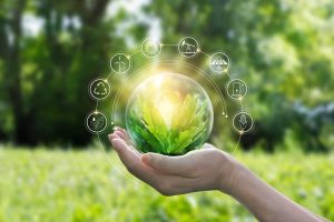 Read more about the article MORENI ÎN ACȚIUNE PENTRU CLIMĂ