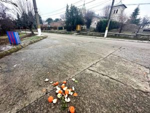 Read more about the article Dâmbovițenii care vor „o țară ca afară”, sunt rugați să participe la construcția ei