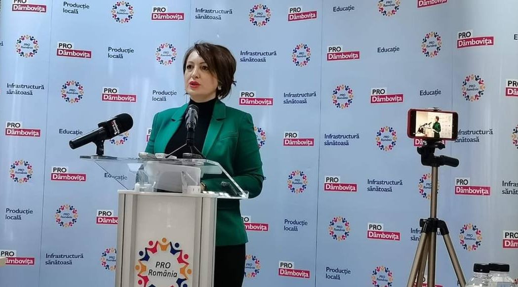 You are currently viewing Oana Vlăducă este președinte interimar al PRO România Dâmbovița