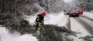 Read more about the article Vijelie în Arad