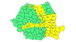 Read more about the article DÂMBOVIȚA: Avertizare COD GALBEN de viscol și ninsori, la munte