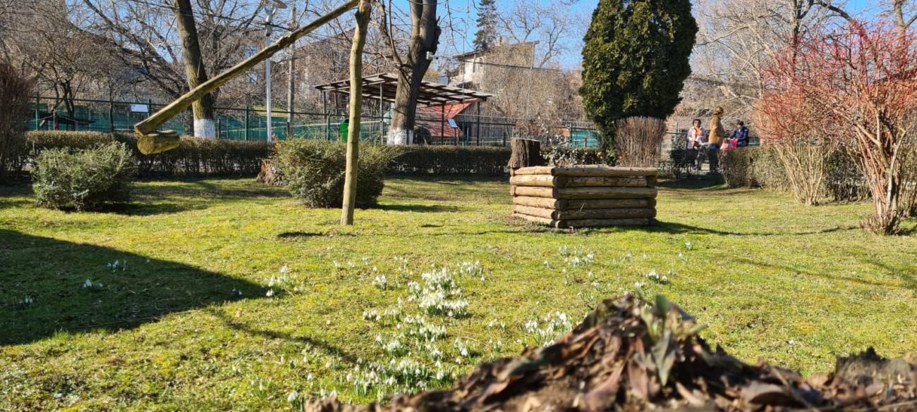 You are currently viewing A venit primăvara, la Grădina Zoologică din Târgoviște