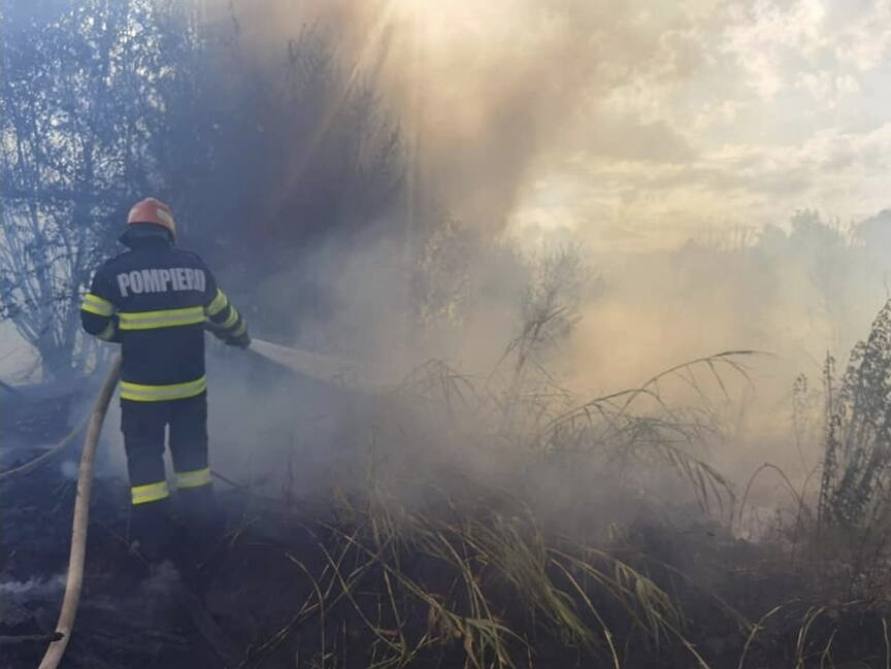 You are currently viewing Incendiu de vegetație în parcul Chindia! Pompierii au intervenit!