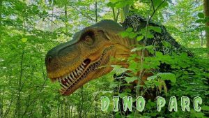 Read more about the article Acces gratuit pentru elevii și profesorii din țară la Dino Parc Râșnov, în săptămânile ”Școala altfel” și ”Verde”