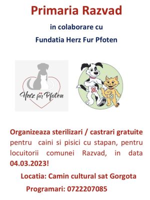 Read more about the article Campanie de sterilizare gratuită a câinilor și pisicilor cu stăpân, la Răzvad