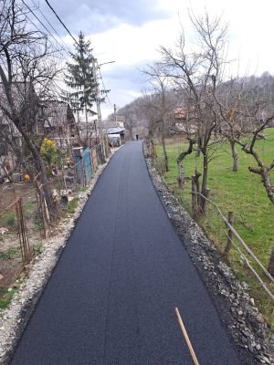 Read more about the article Modernizarea prin asfaltare a tuturor străzilor din satul Gemenea – Brătulești a fost finalizată