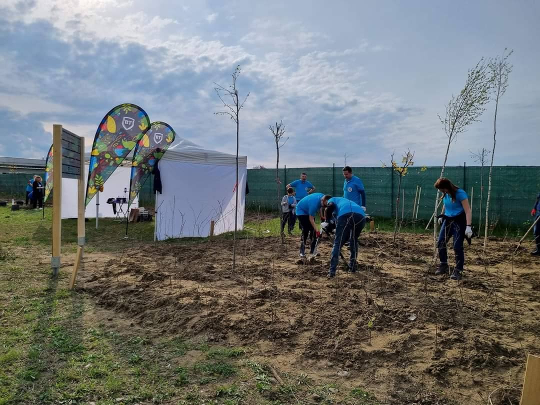 You are currently viewing Banca Transilvania sărbătorește 20 de ani la Târgoviște plantând copaci