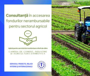 Read more about the article Camera de Comerț Dâmbovița oferă consultanță pentru accesarea fondurilor nerambursabile în agricultură