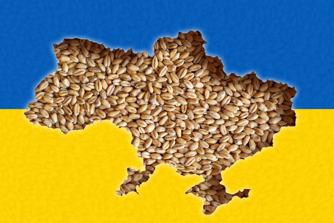You are currently viewing România și alte patru țări membre UE din Europa de Est cer Comisiei Europene să introducă taxe de import pentru cerealele din Ucraina