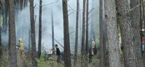 Read more about the article Două avioane de mici dimensiuni s-au ciocnit în aer, în Spania