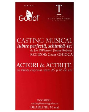 Read more about the article Au mai rămas doar câteva zile până la încheierea înscrierilor pentru musicalul „Iubire perfectă, schimbă-te!”