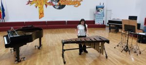 Read more about the article Ziua Europei a fost marcată la Liceul de Arte „Bălașa Doamna” printr-un concert susținut de elevii olimpici