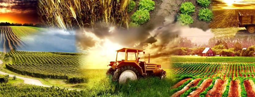 You are currently viewing Cooperativa Agricolă de la Lungulețu se apropie de 900 de membri