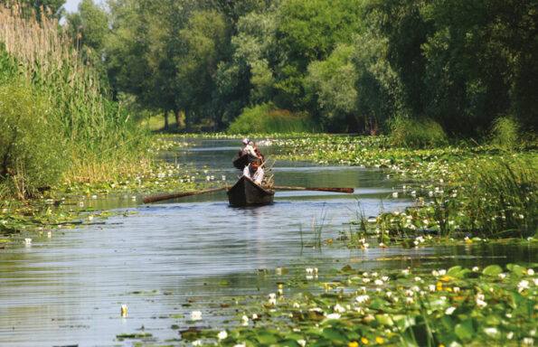 You are currently viewing 75% dintre locurile de cazare din Delta Dunării sunt rezervate până la sfârșitul lunii septembrie
