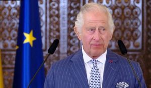 Read more about the article Regele Charles a fost internat într-un spital din Londra pentru o operaţie la prostată