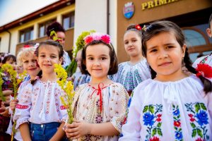 Read more about the article Orașul Titu poartă IE