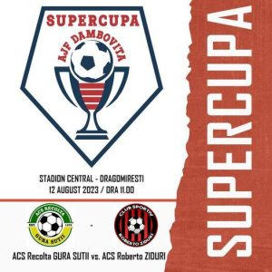 Read more about the article Premieră în fotbalul dâmbovițean: Recolta Gura Șuții și Roberto Ziduri vor disputa Supercupa AJF Dâmbovița