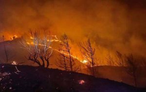 Read more about the article Sute de turişti evacuaţi de pe insula Rodos din cauza incendiilor