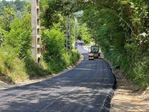 Read more about the article Cartierul Maluri, din Pucioasa, readus la viață