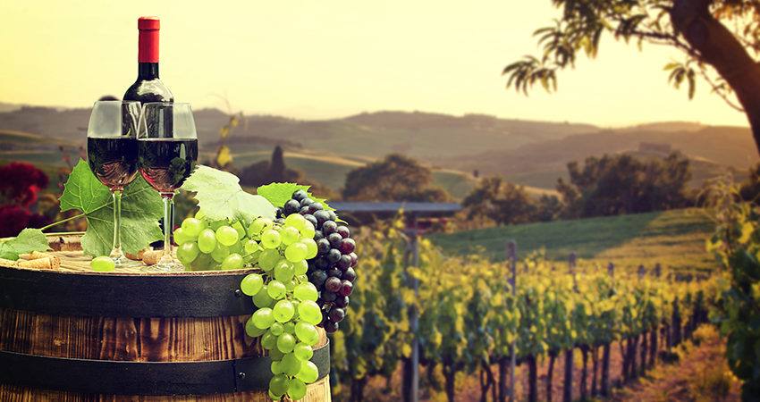 You are currently viewing Franța devine cel mai mare producător mondial de vinuri
