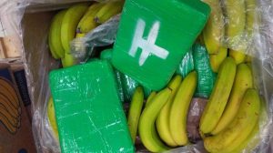 Read more about the article Peste 600 de kilograme de cocaină ascunse printre banane, confiscate de polițiștii cehi