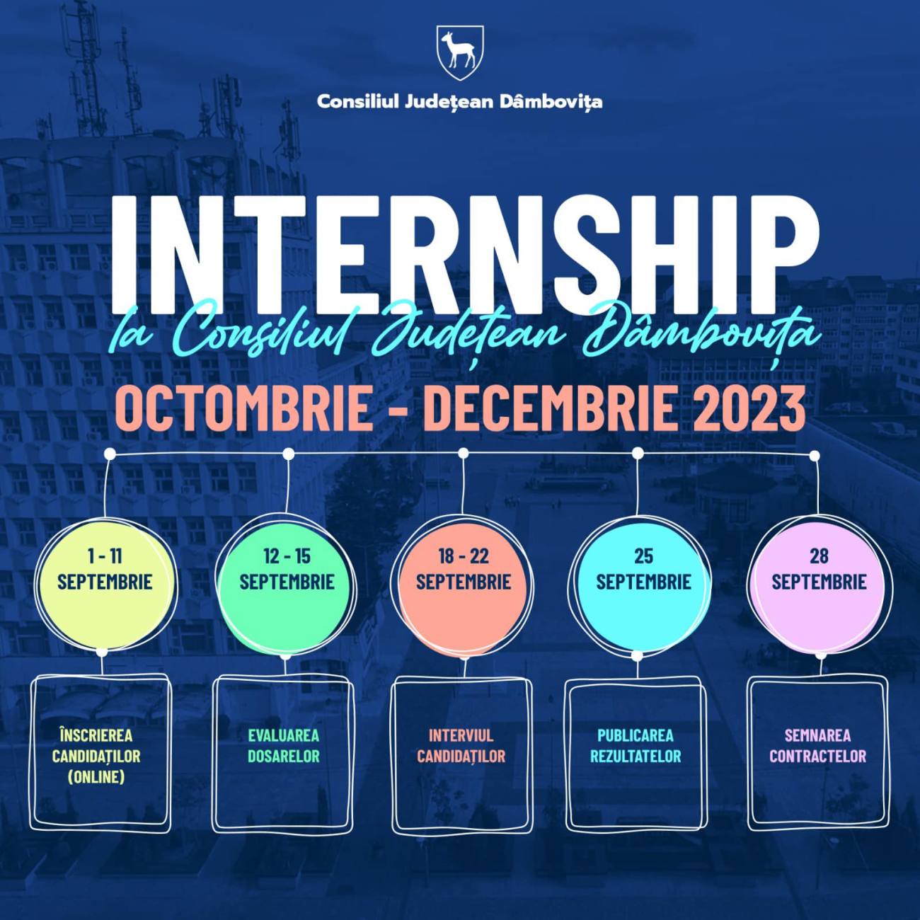 You are currently viewing Astăzi au început înscrierile la o nouă ediție a programului de Internship organizat de Consiliul Județean Dâmbovița